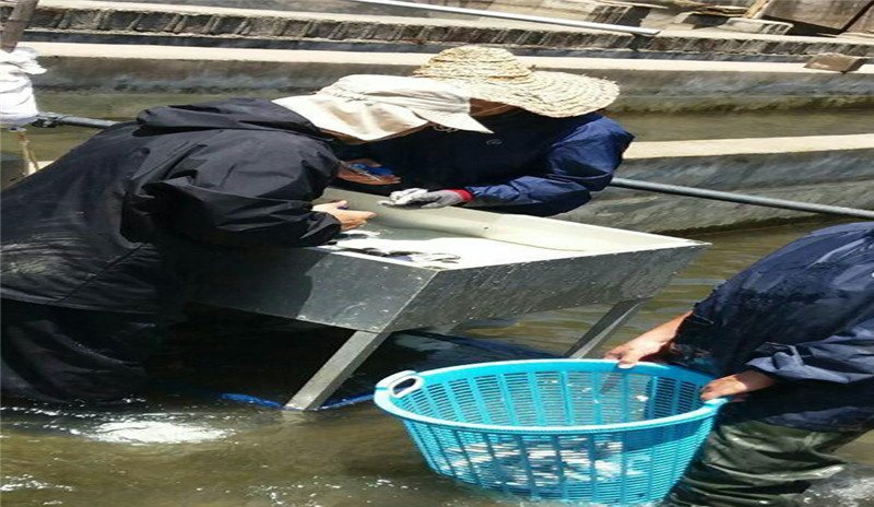 انجام و تکمیل دوره واکسیناسیون در کل استخرها