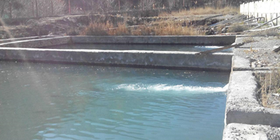 نمايي از استخرها و تجهيزات